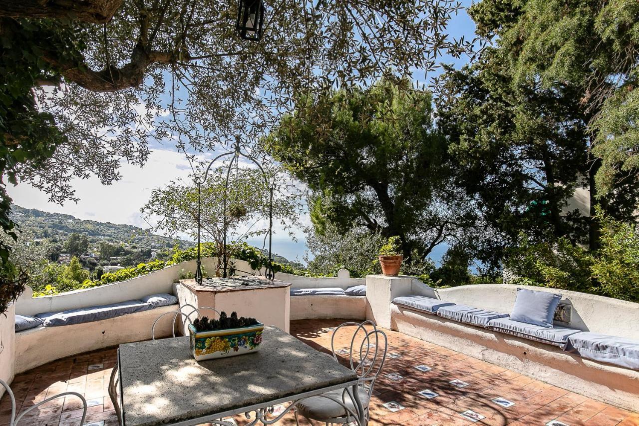 Il Geranio Bed and Breakfast Ανακάπρι Εξωτερικό φωτογραφία