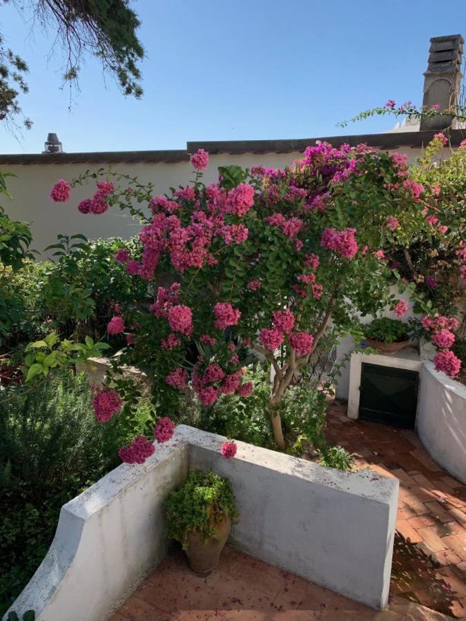 Il Geranio Bed and Breakfast Ανακάπρι Εξωτερικό φωτογραφία