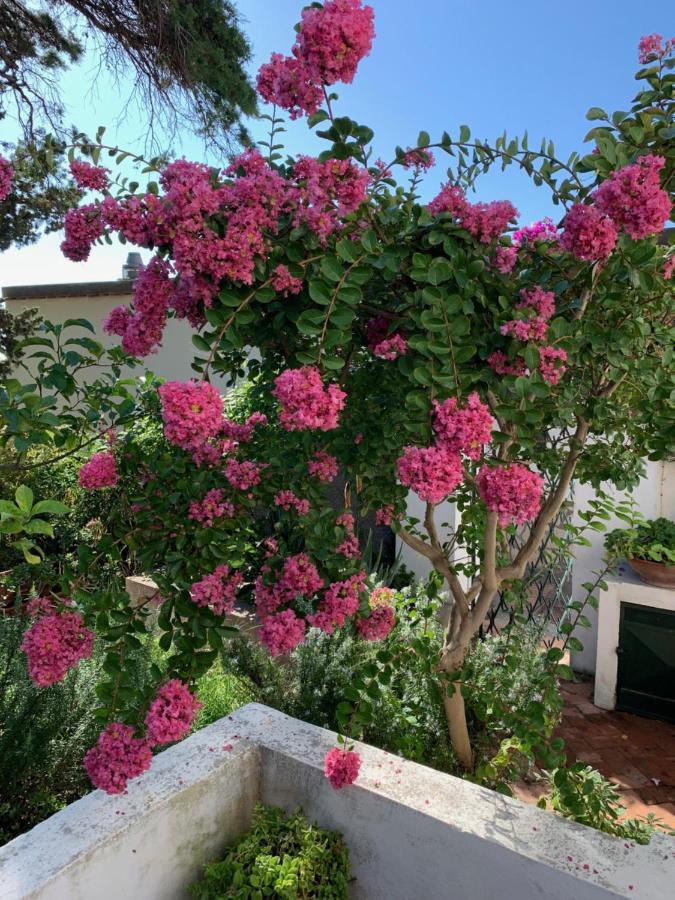 Il Geranio Bed and Breakfast Ανακάπρι Εξωτερικό φωτογραφία